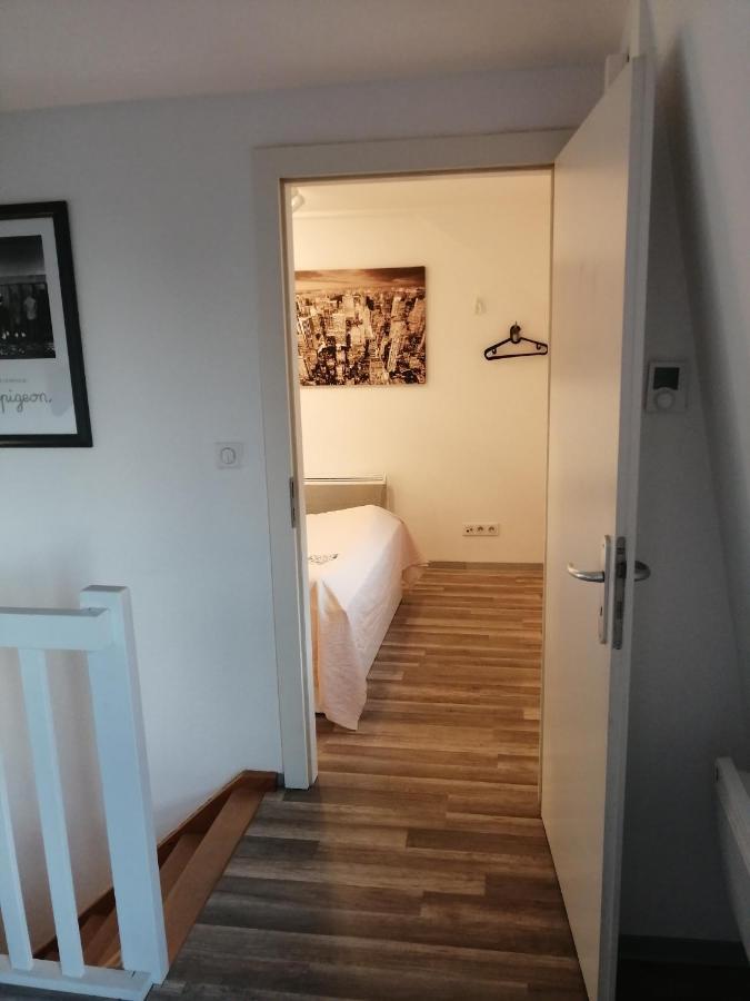 Magnifique Gite Plein Centre De Selestat Luaran gambar