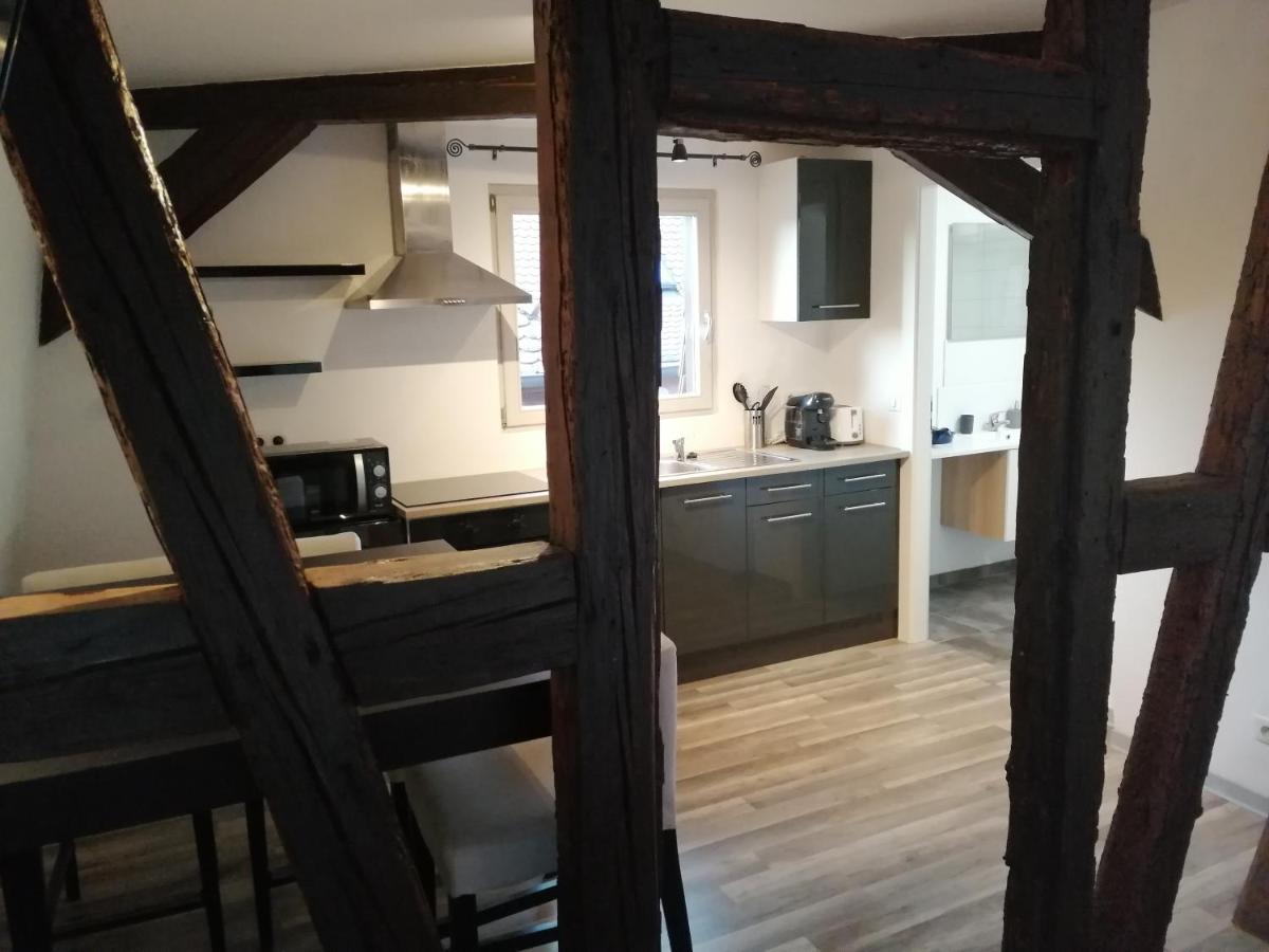 Magnifique Gite Plein Centre De Selestat Luaran gambar