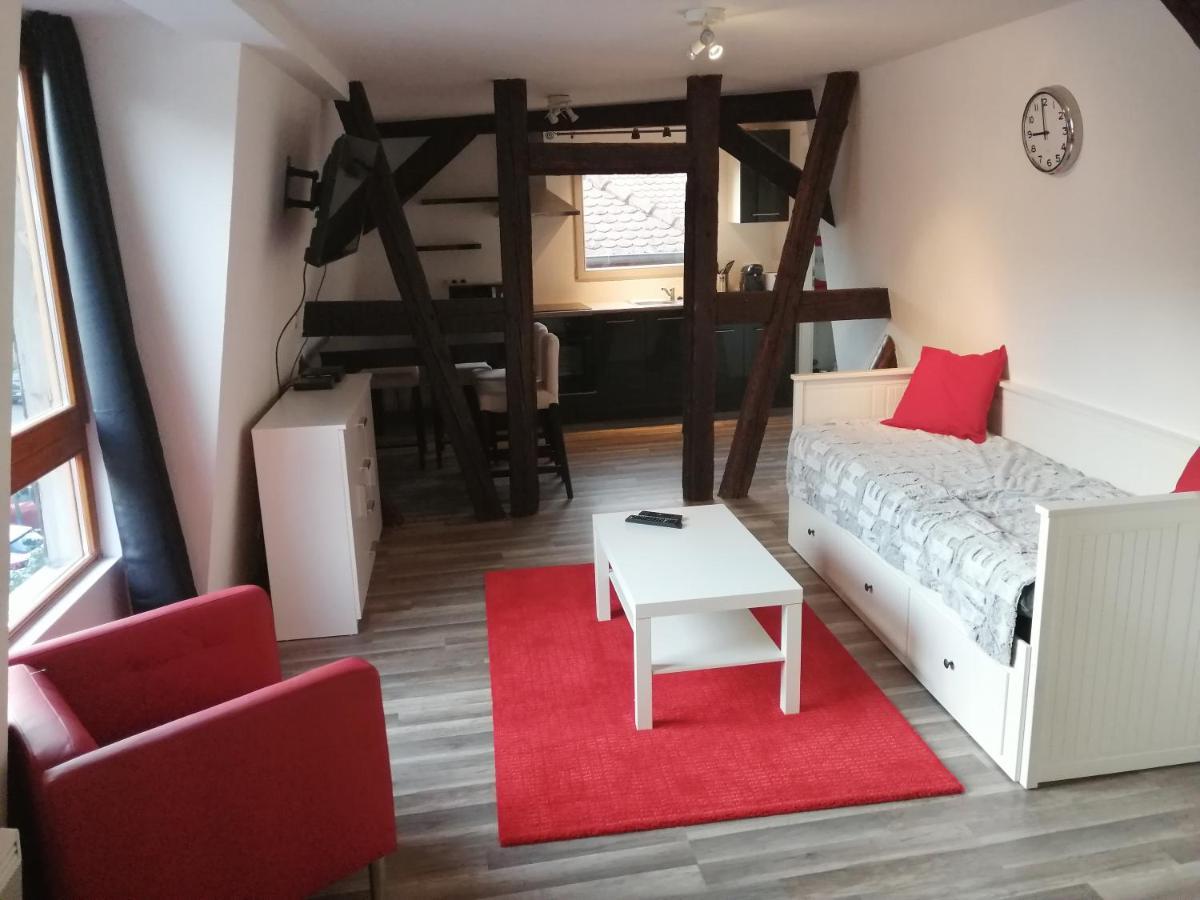 Magnifique Gite Plein Centre De Selestat Luaran gambar