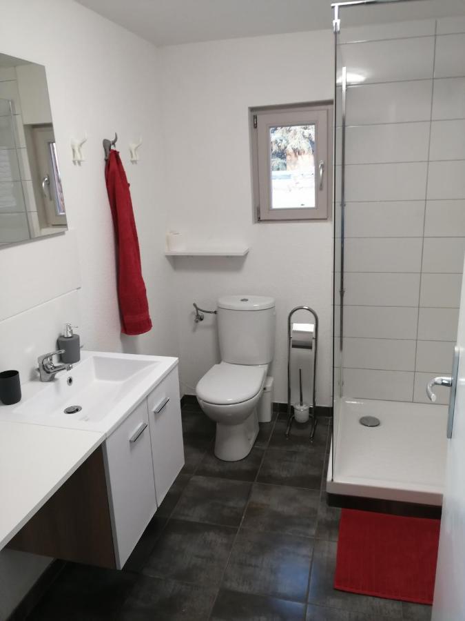 Magnifique Gite Plein Centre De Selestat Luaran gambar