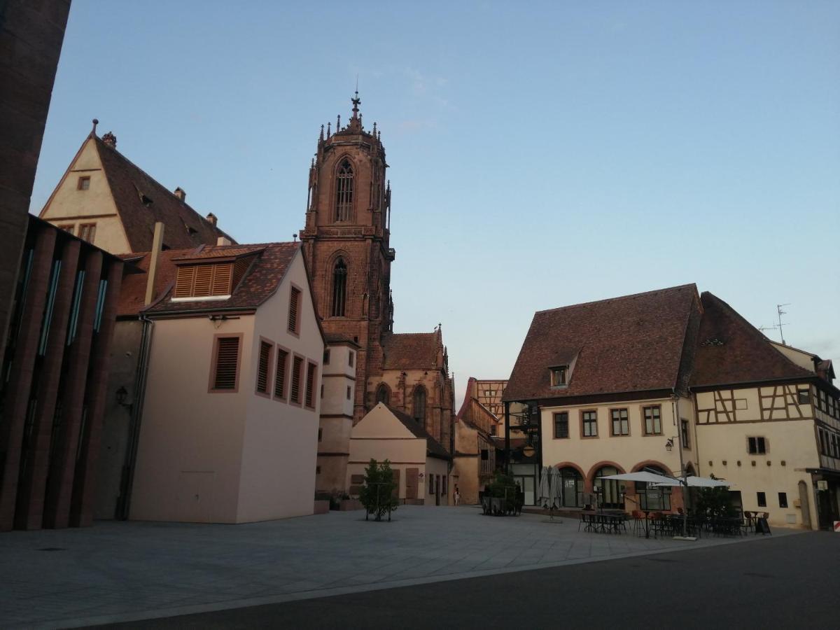 Magnifique Gite Plein Centre De Selestat Luaran gambar